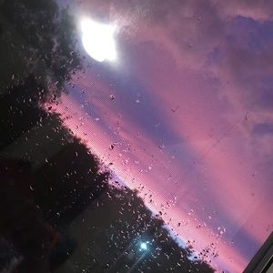 Meet your Posher, Audrey